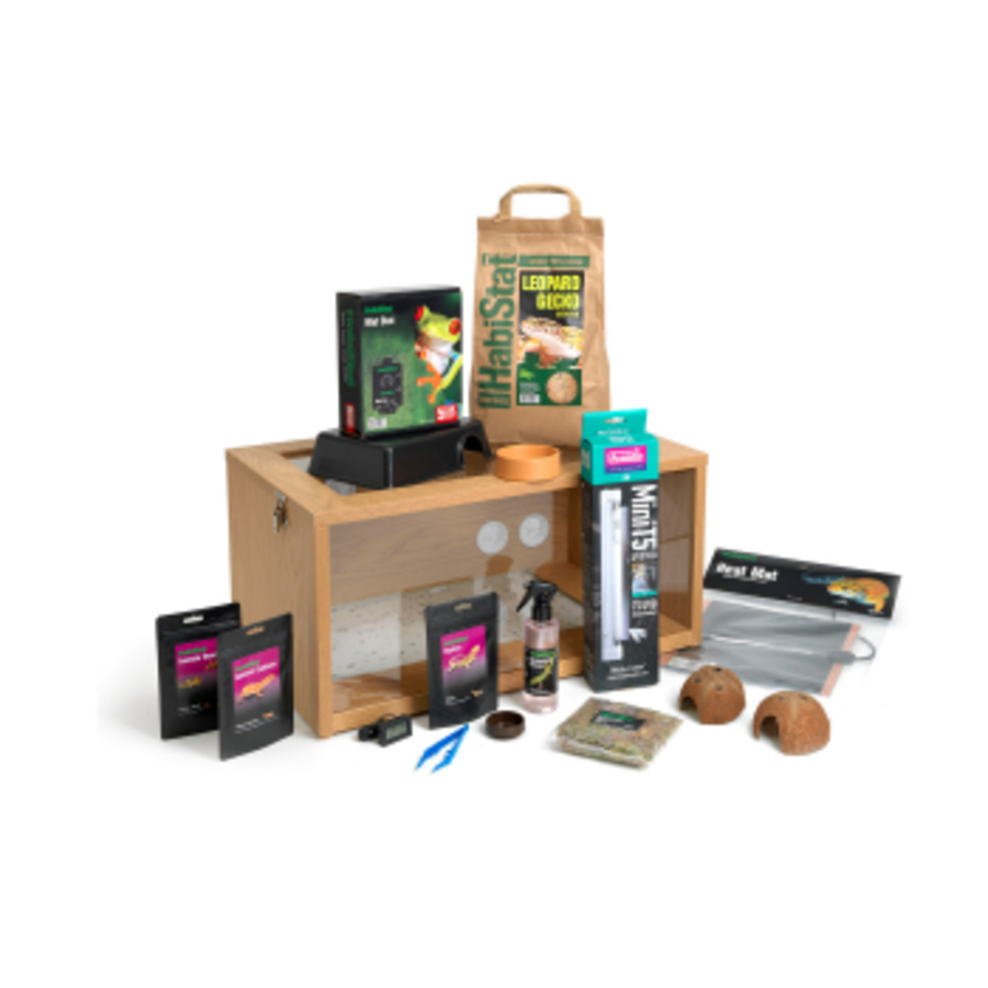 Luipaardgekko Start Set | 61 x 38 x 30CM