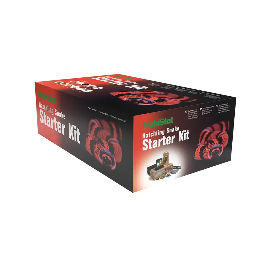 Complete starterset voor jonge slangen met terrarium 61 x 38 x 30 cm