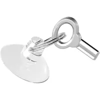 Sleutel voor terrarium | reservesleutel voor glazen terrarium met slot