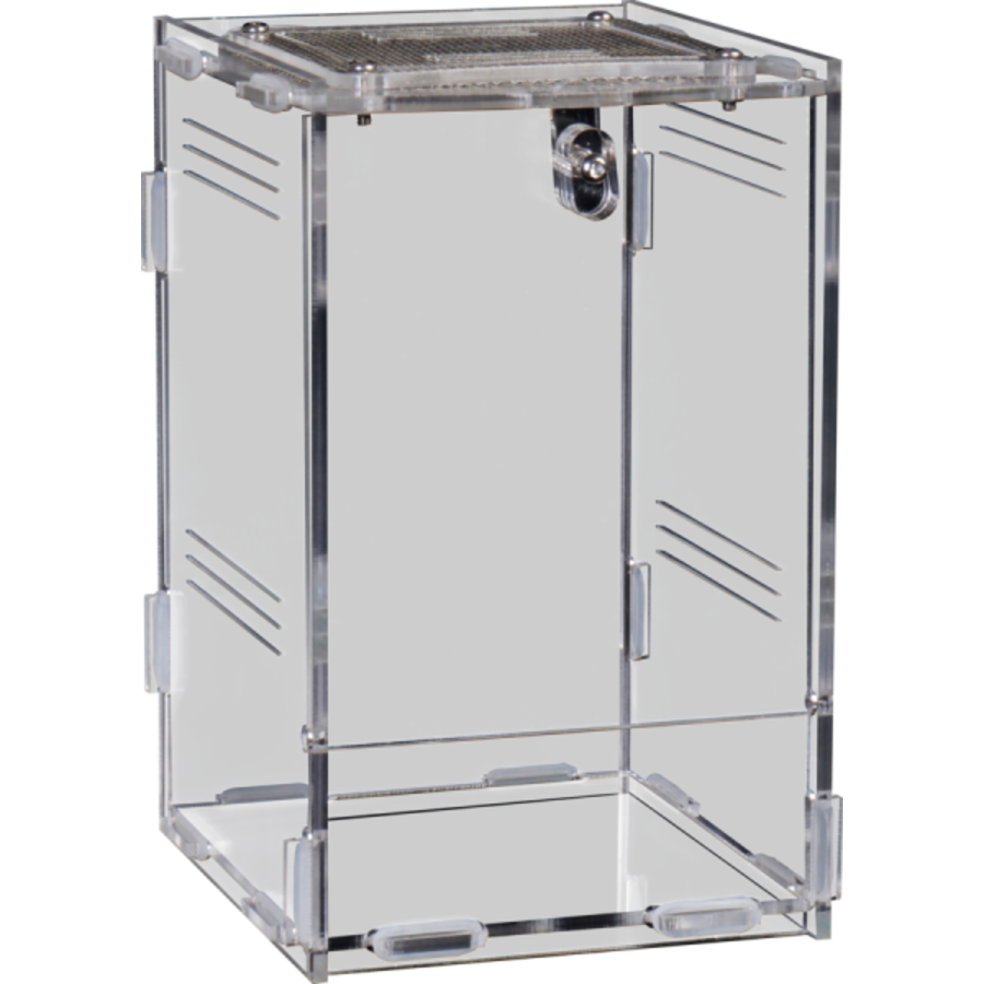 Terra Clear acryl terrarium voor kleine terrariumbewoners | diverse maten