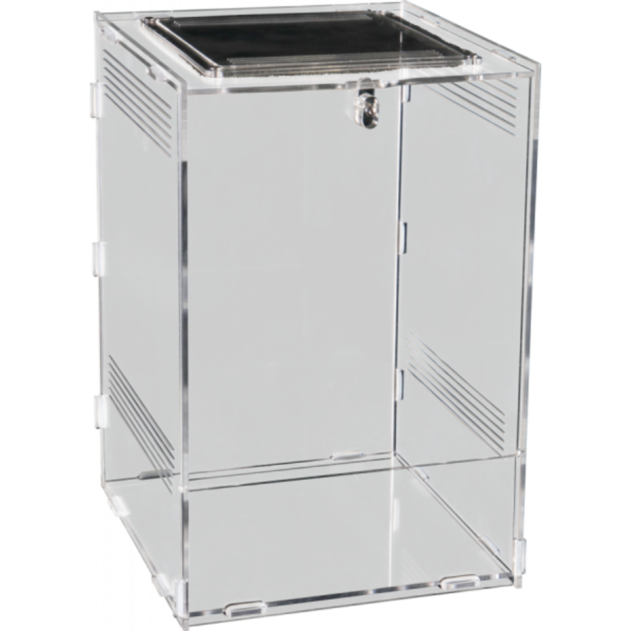 Terra Clear acryl terrarium voor kleine terrariumbewoners | diverse maten