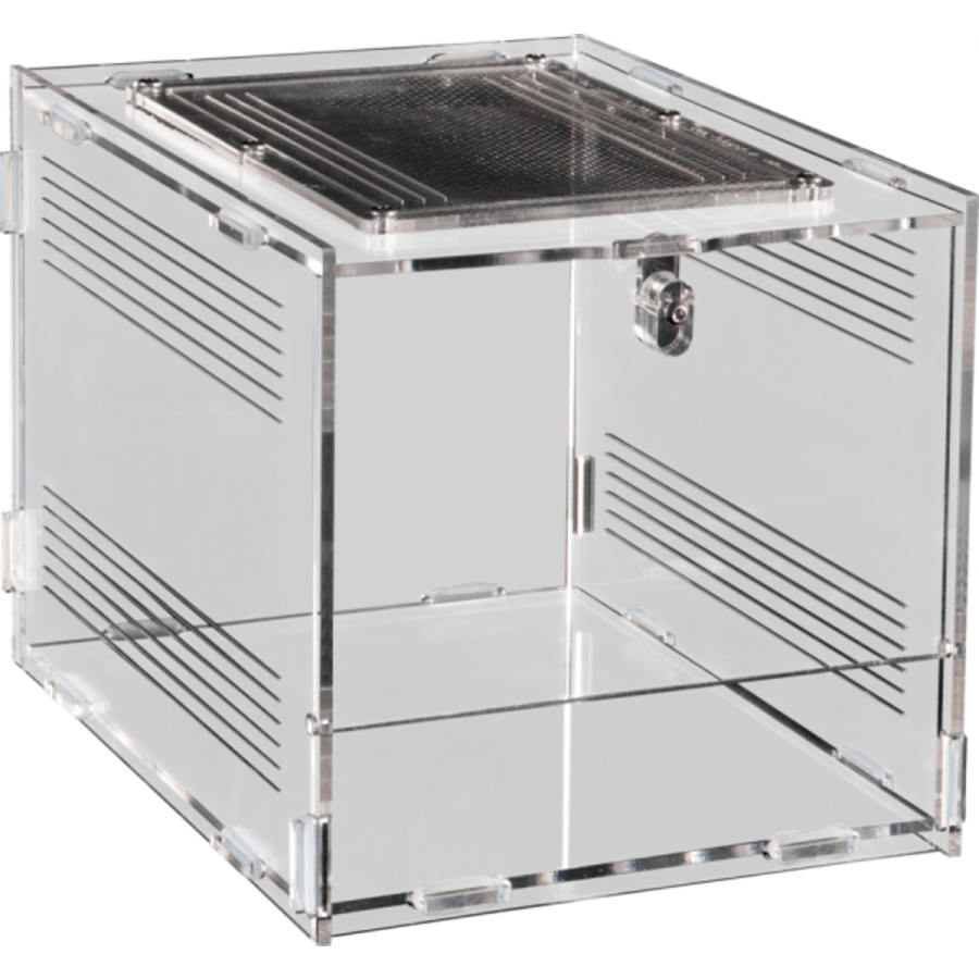 Terra Clear acryl terrarium voor kleine terrariumbewoners | diverse maten