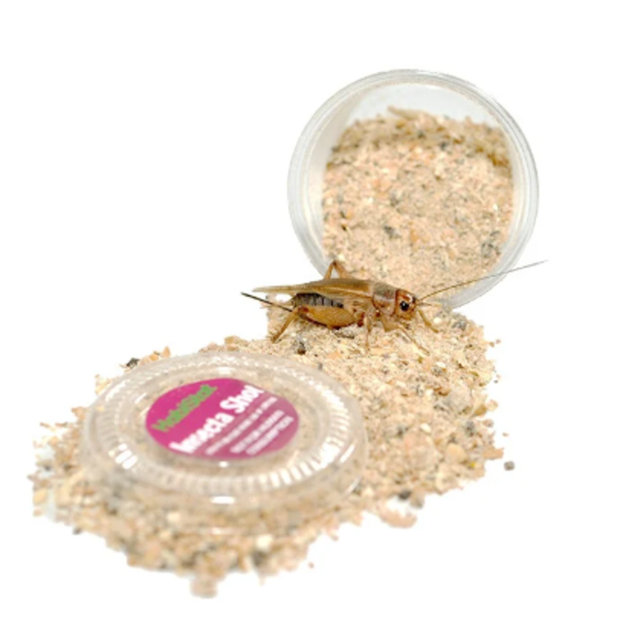 Insecta Shot 15g voeding voor voederinsecten