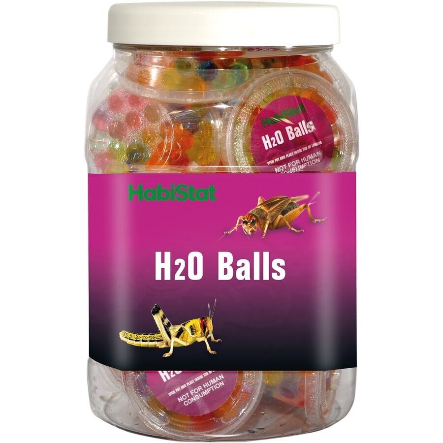 H2O Ballen 20g voor hydratatie van voederinsecten
