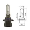 HB3A Halogeenlamp