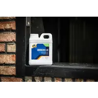 Bronchix Liquid 1L