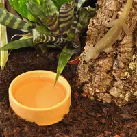 Ronde Plastic Water Bak