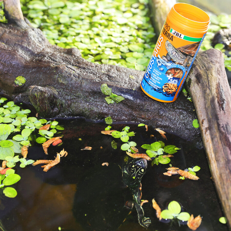 Complete voedermix met kreeftjes, vissen en garnalen voor waterschildpadden
