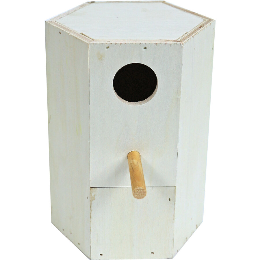 Broedblok Voor Tropen Zeskant