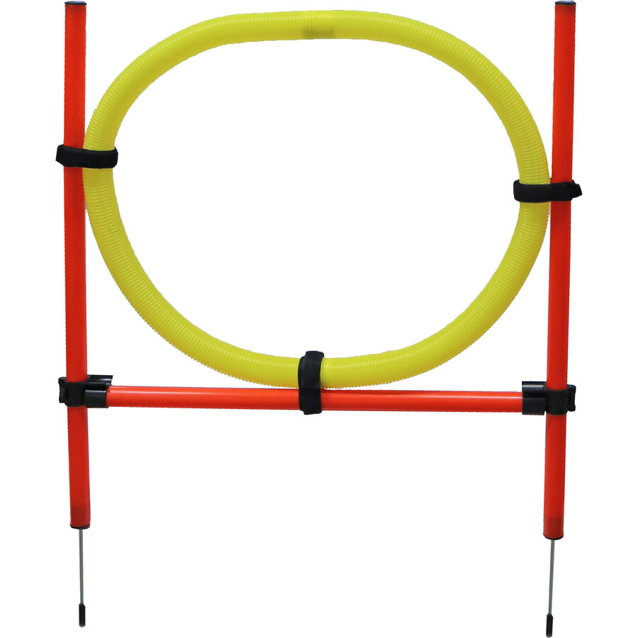 Agility Set 6x Stok + Springring en horde
