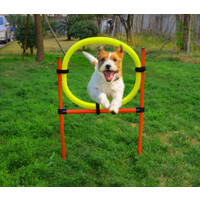 Agility Set 6x Stok + Springring en horde