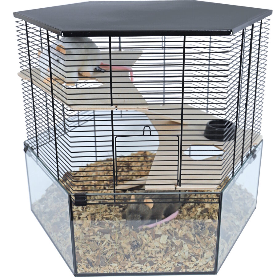 Hamsterkooi Vision Hexo Xl