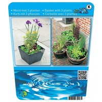 Mix Waterplanten | In 18CM Mand