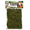 Forest Moss 70 Gram