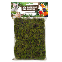 Forest Moss 70 Gram