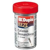 Eeze Poeder 180ML/60 Gram