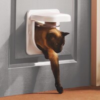 Smartflap Microchip Wit