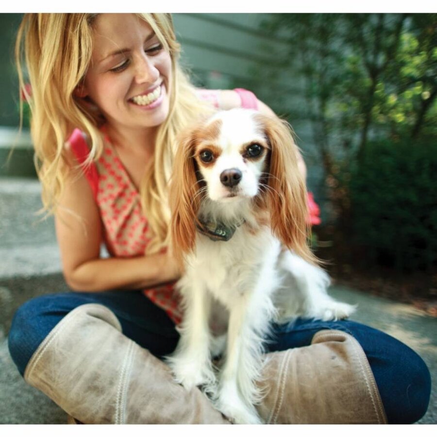 Kleine hond omheiningssysteem met draad | 150 m grensdraad | 50 vlaggen | halsband 15–40 cm