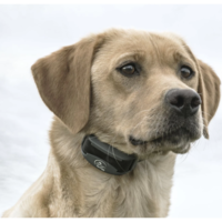 SportTrainer Remote Trainer hondentrainer met afstandsbediening | meerdere maten | waterdicht | oplaadbaar