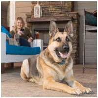 Smart dog trainer trainingshalsband met app | 70 meter bereik | oplaadbaar en waterbestendig