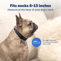 Nanobark Collar