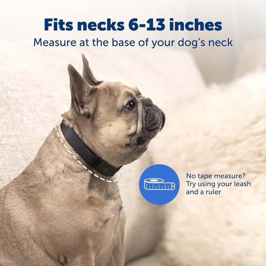 Nanobark Collar