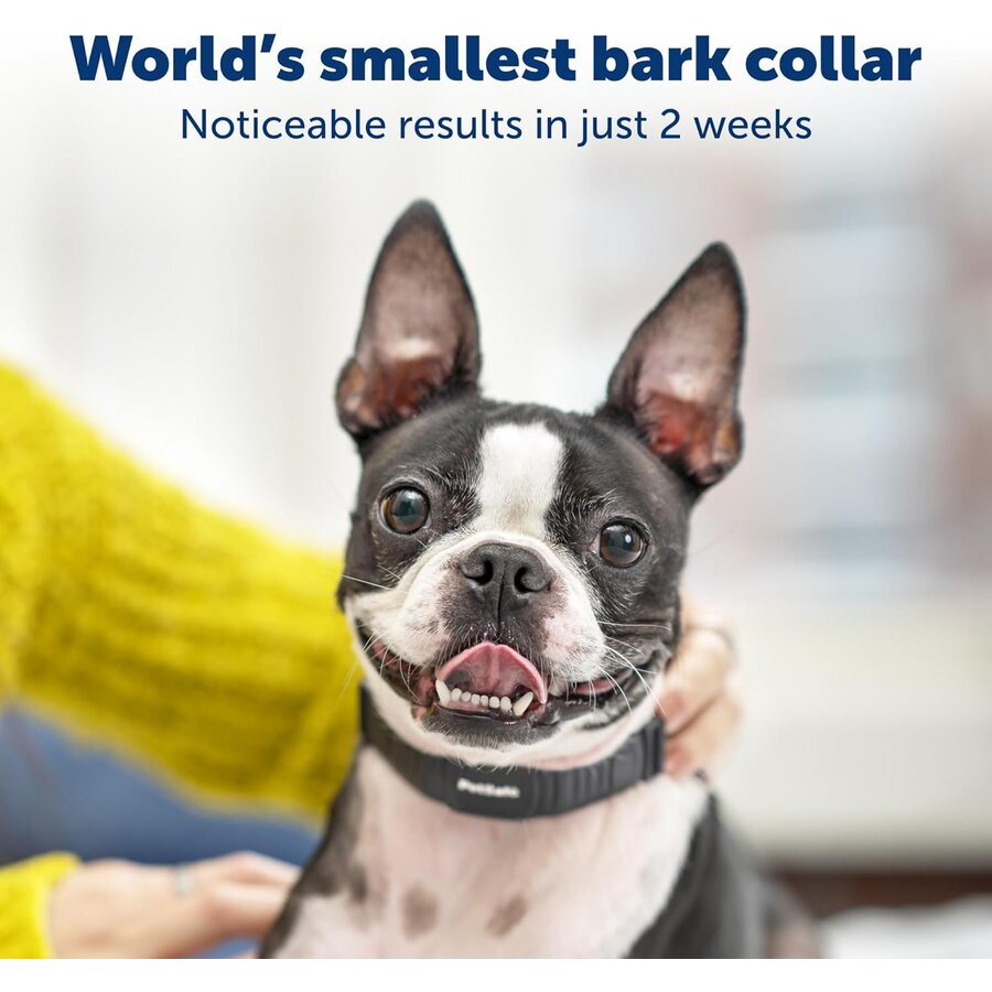 Nanobark Collar