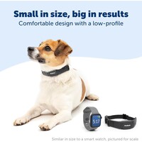 Nanobark Collar