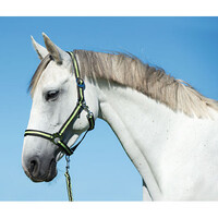 Halster Hippo Antra/Lemon