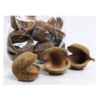 Boeddha noot 10-12 cm | natuurlijke schuilplaats en knaagspeelgoed