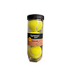 Dog Toy Sport Tennis Balls Tube