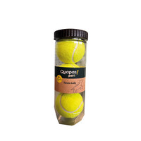 Dog Toy Sport Tennis Balls Tube