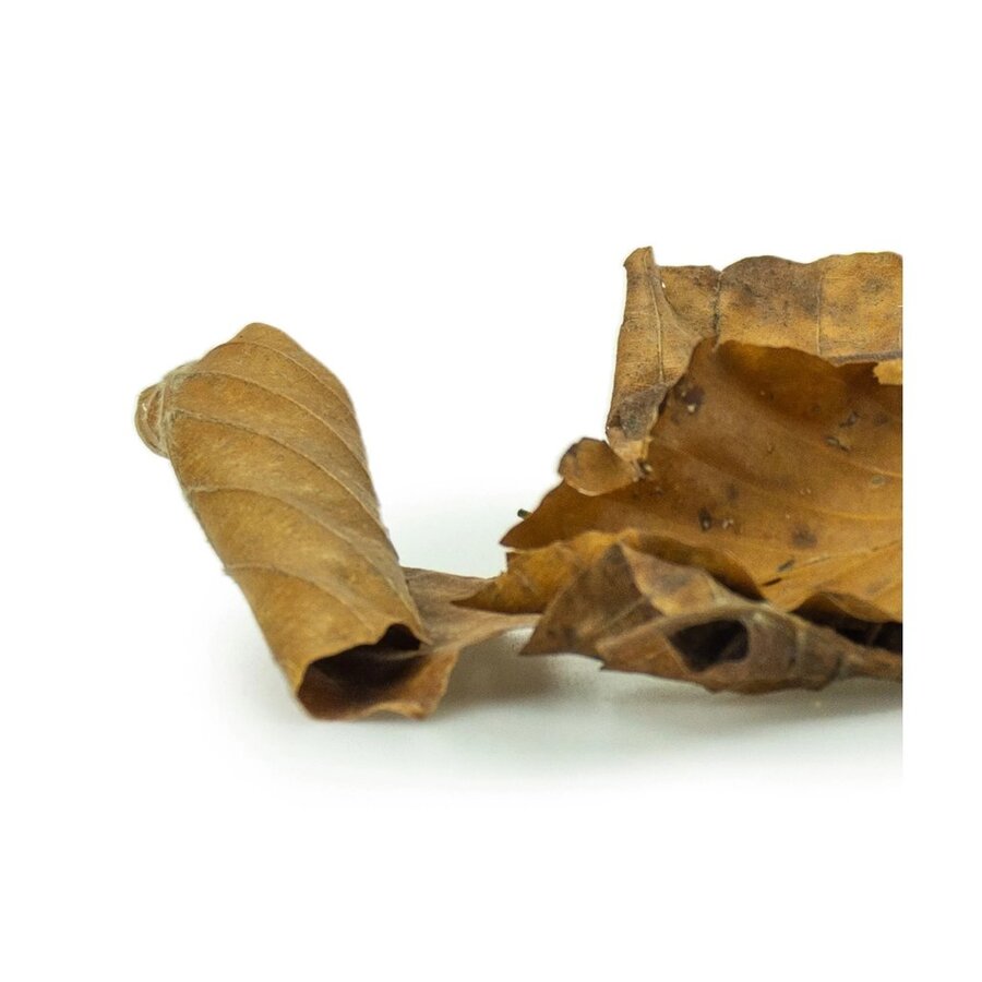 Discovery Leaves 35-50 gram