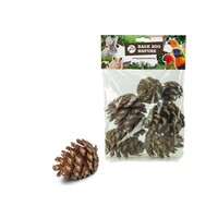 Forest Pine Cones dennenappels 6 stuks | natuurlijk foerageer- en knaagspeelgoed