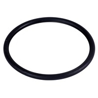 Rubber O-ring