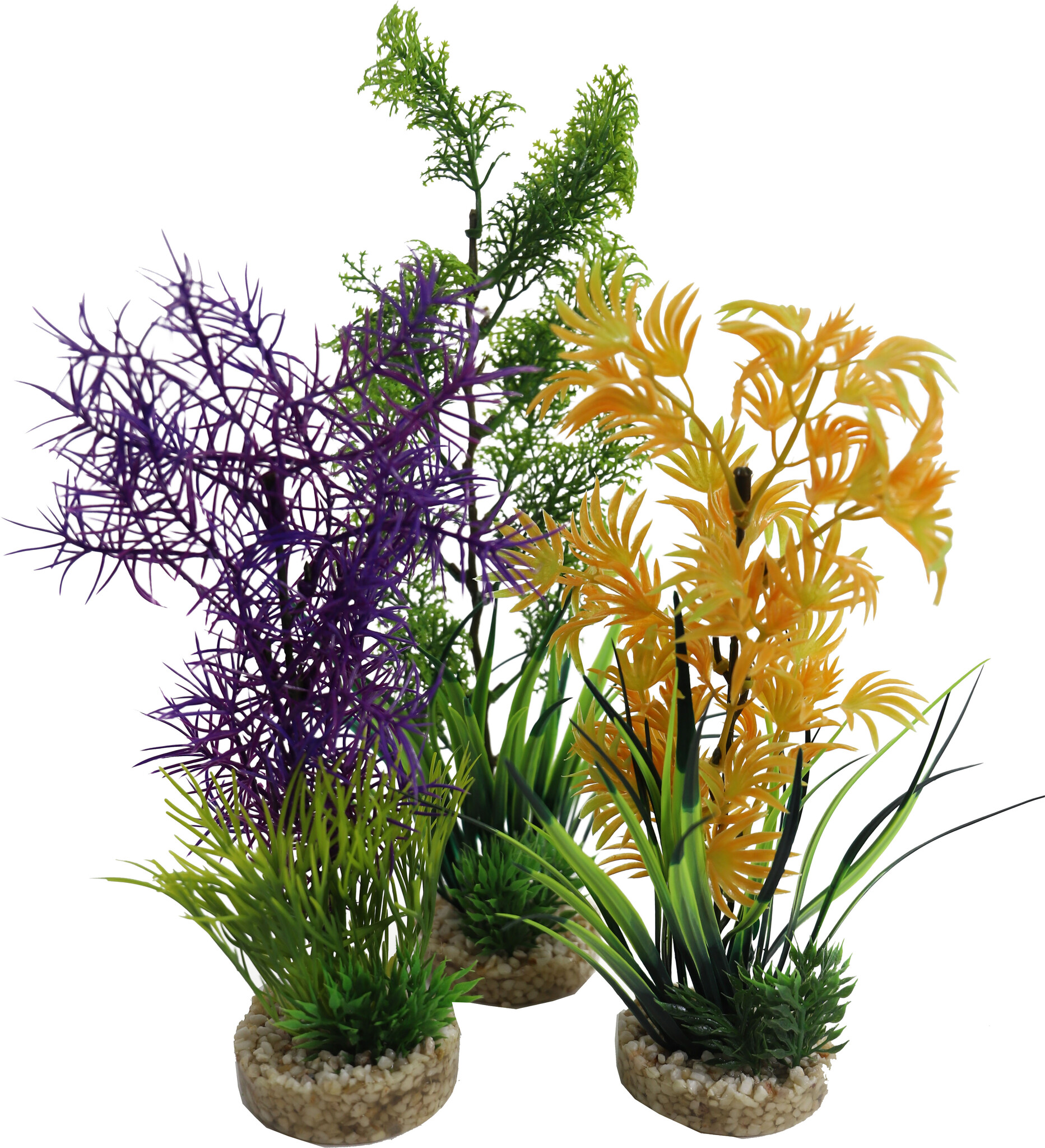 Aquariumplanten voor beginners, ken jij ze? – Aquania