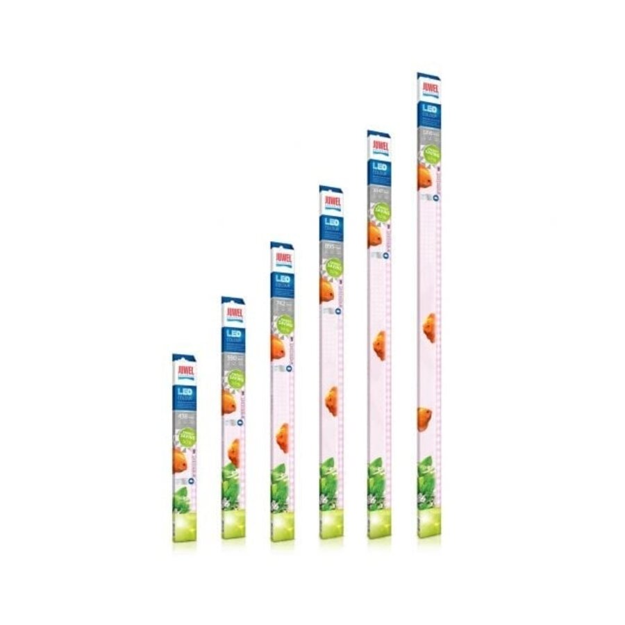 LED-Lamp Colour 19W 742MM