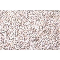 Gepelde Zonnebloempitten 1KG
