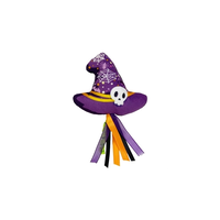 Halloween Heksenhoed Met Catnip