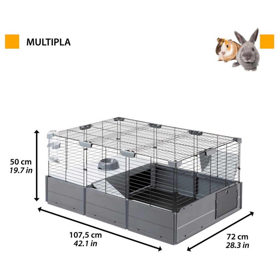 Multipla