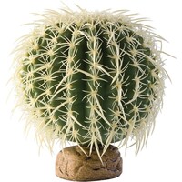 Cactus Medium