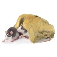 Teaky House teakhouten schuilhuis voor knaagdieren en reptielen