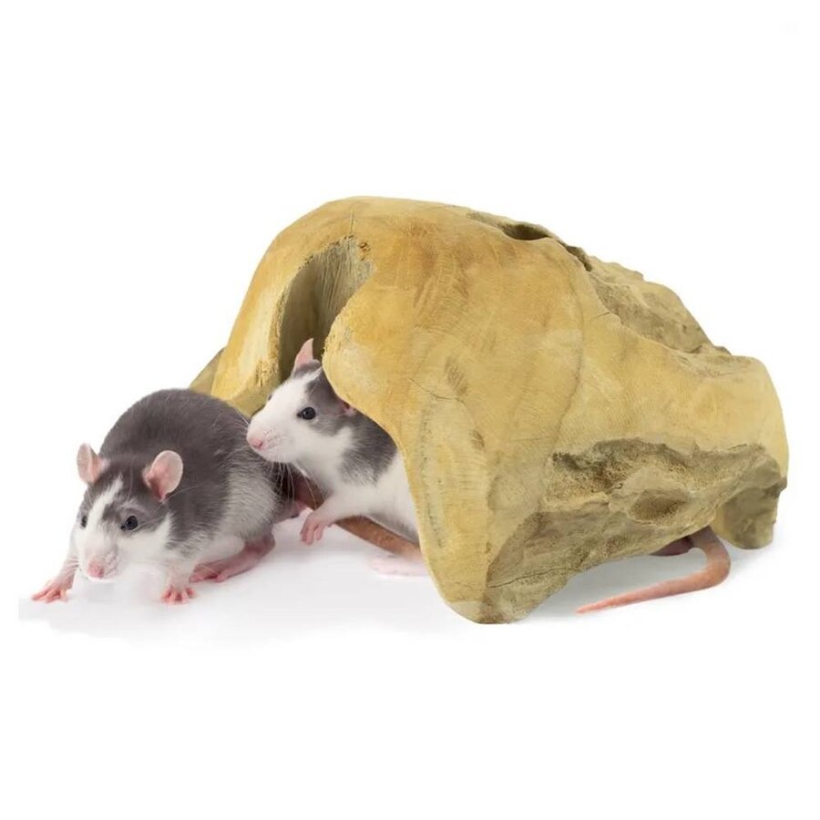 Teaky House teakhouten schuilhuis voor knaagdieren en reptielen