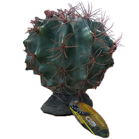 Terrariumplant Desert Plant Melon 20x20x20 cm | realistische schuilplant