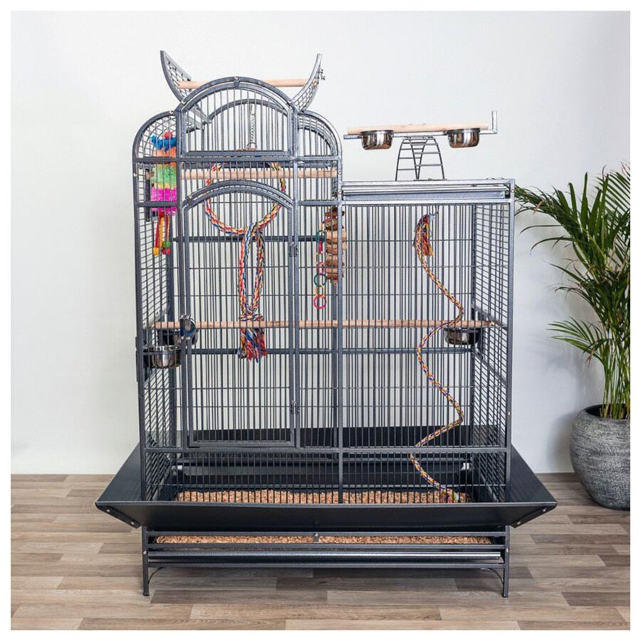 Papegaaienkooi Colorado