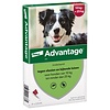 Advantage voor honden 4 pipetten Gewicht 10 tot 25KG