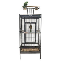 Vogelkooi Conure Swift