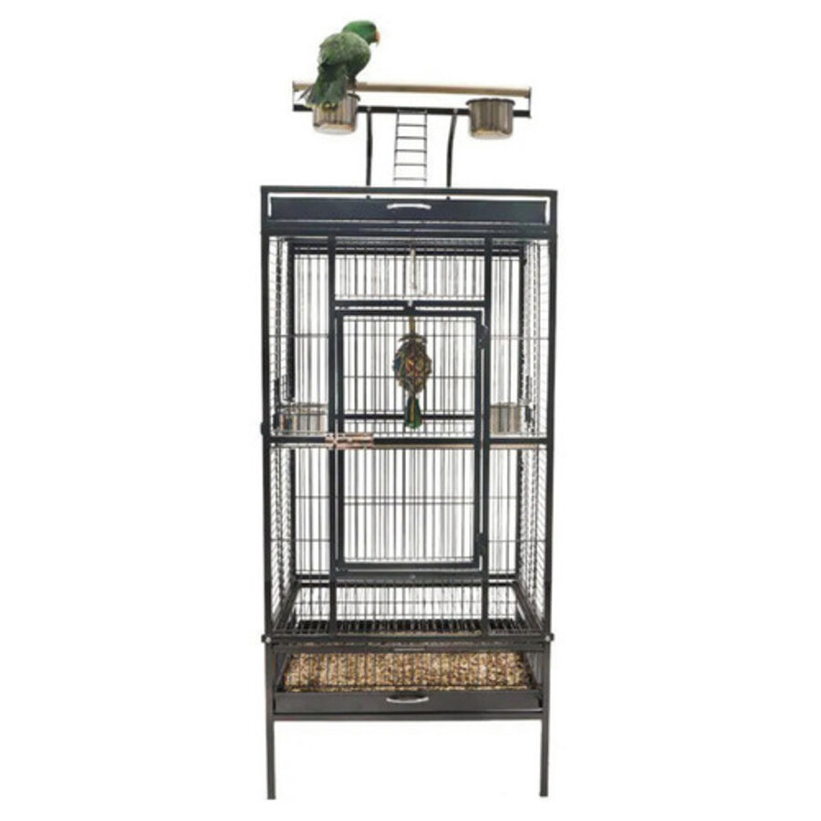 Vogelkooi Conure Swift