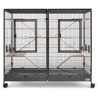 Vogelkooi Tasmania 120