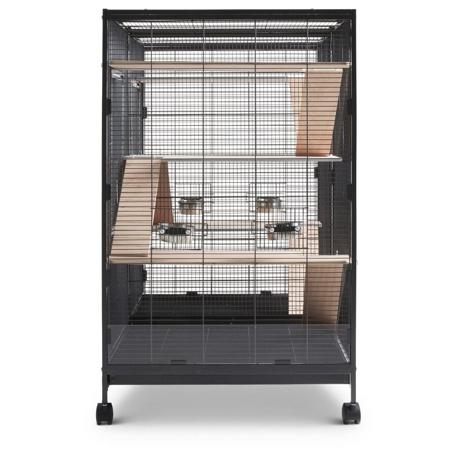 Vogelkooi Tasmania 120